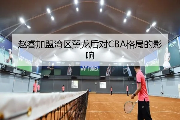 赵睿加盟湾区翼龙后对CBA格局的影响
