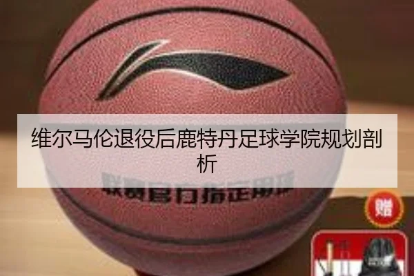 维尔马伦退役后鹿特丹足球学院规划剖析